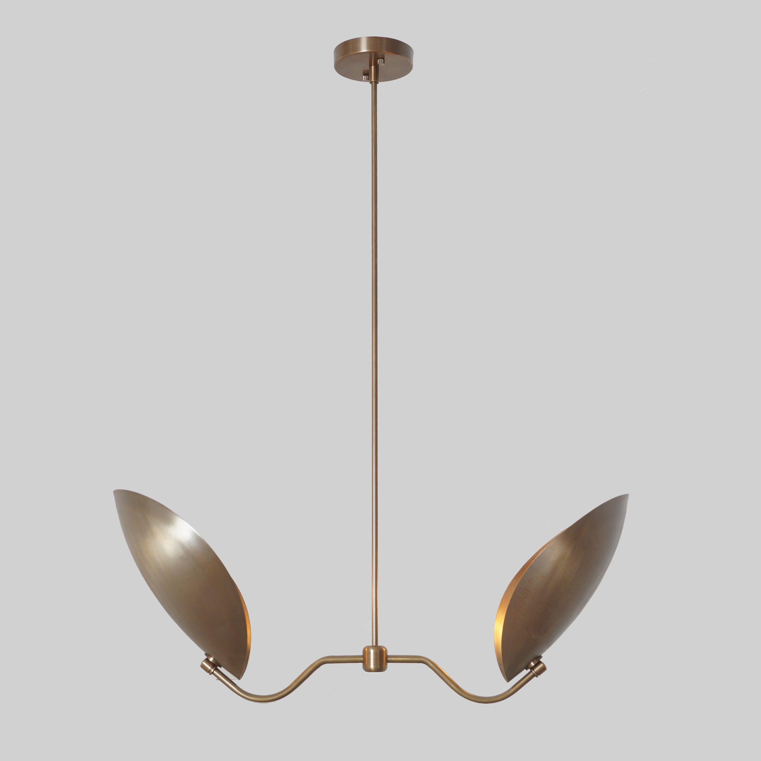 Two Curved Disk Shade Brass Turtle Pendant Light