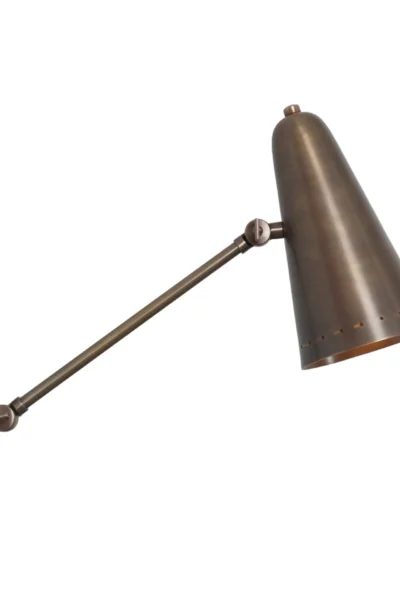Aster Brass Swing Arm Wall Lamp