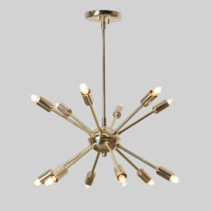 12 light chandelier