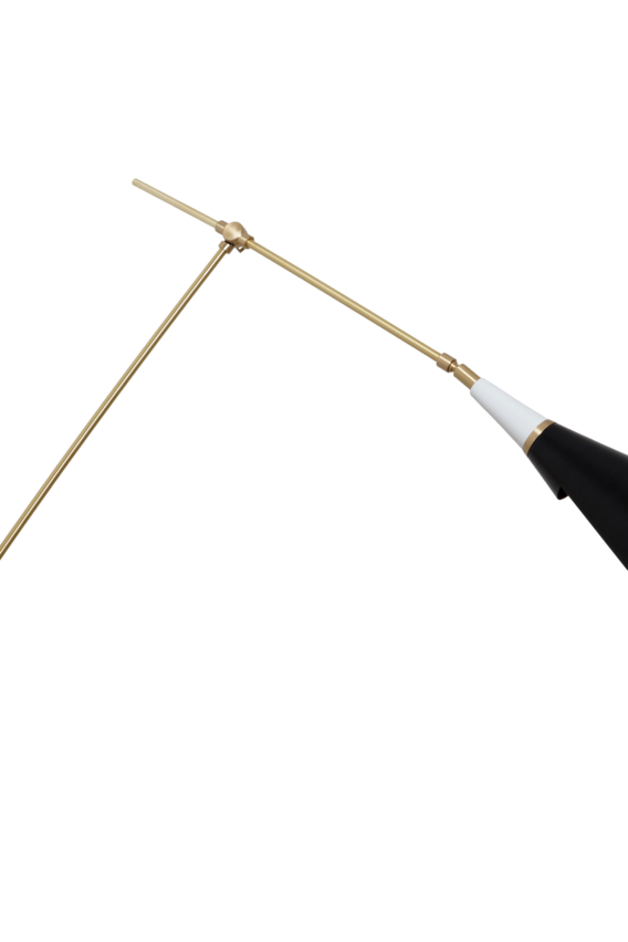 Alaska Swing Arm Sconce