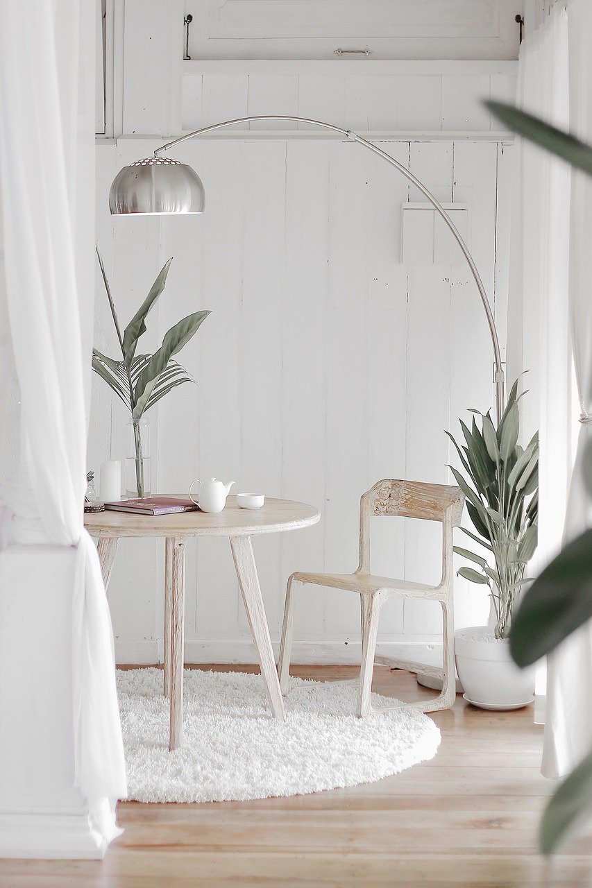 plant, design, home, house, lamp, nature, white, wood